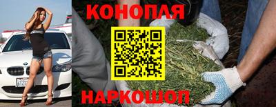 спайс Кунгур