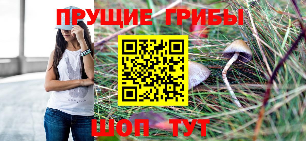 Дзержинск  Галлюциногенные грибы GOLDEN TEACHER  Вход с VPN 