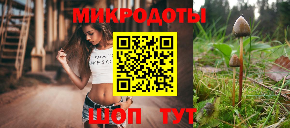 Псилоцибиновые грибы GOLDEN TEACHER Дзержинск